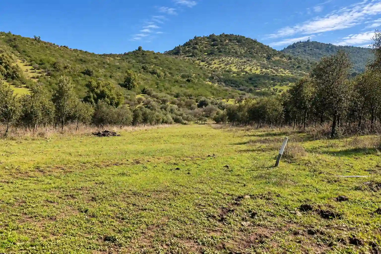 Laguna y áreas verdes del condominio